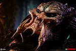 Predator Barbarian Mythos View 12