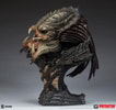 Predator Barbarian Mythos View 14