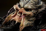 Predator Barbarian Mythos View 11