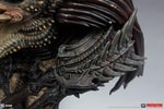 Predator Barbarian Mythos View 8