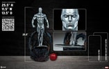 Silver Surfer Collector Edition View 2