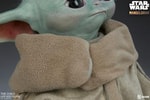 The Child View 15