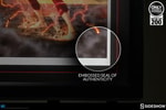 The Flash Exclusive Edition View 6
