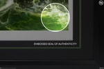 Swamp Thing Exclusive Edition View 5