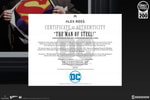 The Man of Steel Exclusive Edition View 15