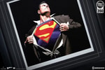 The Man of Steel Exclusive Edition View 6