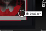 Batman Beyond Exclusive Edition View 7