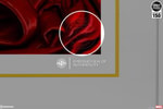 Scarlet Witch & Vision View 6