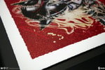 Wildcat Exclusive Edition View 6