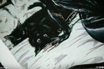 Clawsplay