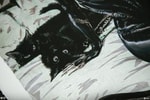 Clawsplay