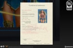 Wonder Woman: Lasso of Truth