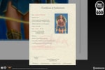 Wonder Woman: Lasso of Truth