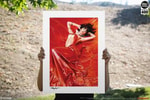 Vampirella: Roses for the Dead