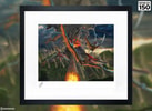 Eruption Exclusive Edition 