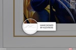 The X-Men View 5
