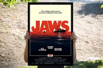 Jaws View 1