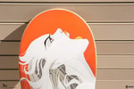 Roar Exclusive Edition (Prototype Shown) View 4