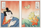 Confused Anime Butterfly Guy (Set of 2)