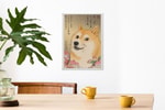 Doge