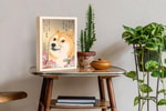 Doge