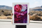 Scarlet Witch Exclusive Edition 