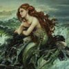 Drawn to the Shore (Signed & Numbered Edition) View 4