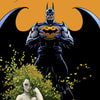 Batman: The Long Halloween Exclusive Edition View 1