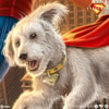 Superman™: A Symbol of Hope Exclusive Edition View 3