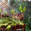 Harry Potter™ Hogwarts Greenhouse™ View 4
