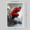 Daredevil Exclusive Edition View 2