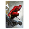 Daredevil Exclusive Edition View 5
