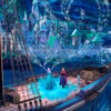 Frozen Love and Magic View 4