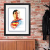 Superman™: Skyward View 1