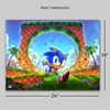 Sonic the Hedgehog: First Loop-de-Loop View 2