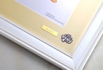 Applejack Bishoujo View 5