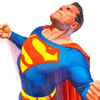 Superman: Answering the Call View 3