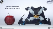 Batman View 4