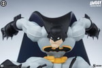 Batman View 11