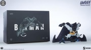 Batman View 18