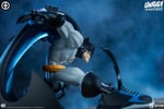 Batman View 21