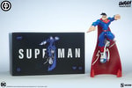 Superman View 21