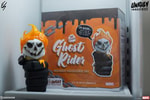 Ghost Rider: One Scoops
