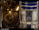 C-3PO and R2-D2 Collector Edition View 4