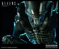 Alien Warrior View 8