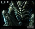 Alien Warrior View 13