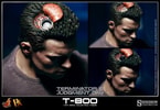 T-800 View 10