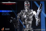 The Terminator: Endoskeleton View 3