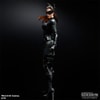 Catwoman (The Dark Knight Rises) View 2