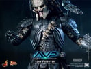 Scar Predator (Prototype Shown) View 14